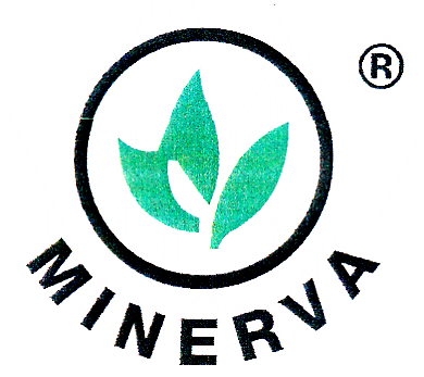 MINERVA