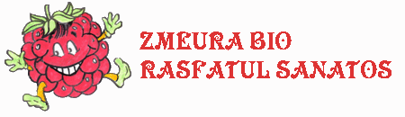 ZMEURA BIO RASFATUL SANATOS