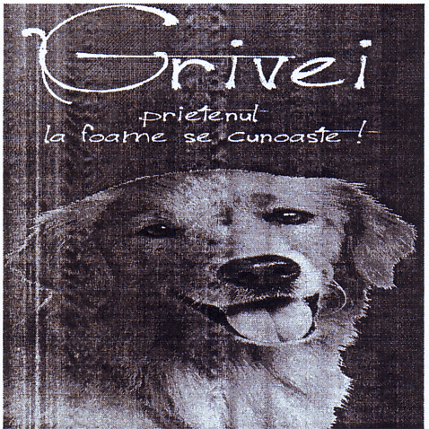 Grivei prietenul la foame se cunoaşte !