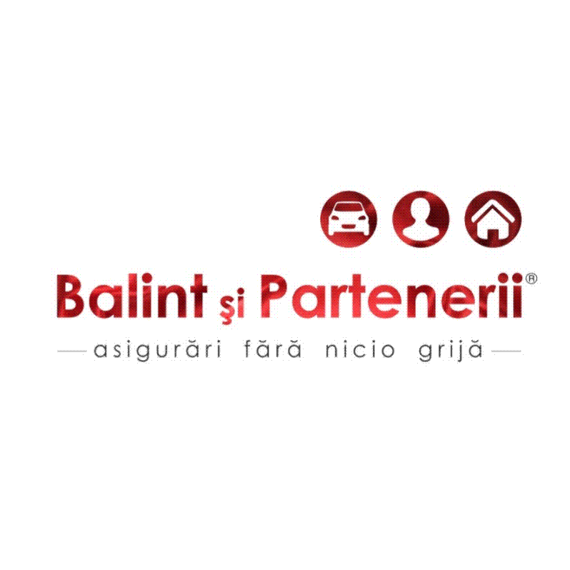 Balint şi Partenerii - asigurări fără nicio grijă