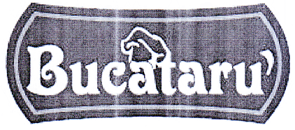 Bucătaru'