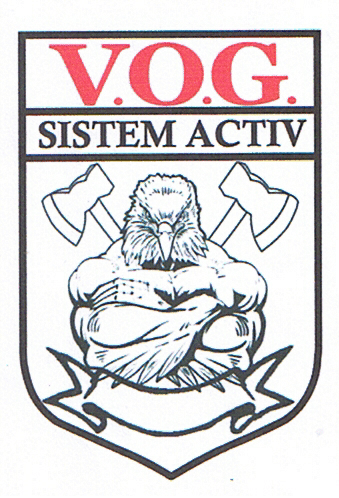 V.O.G. SISTEM ACTIV