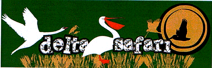 delta safari