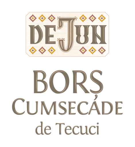 DEJUN BORŞ CUMSECADE DE TECUCI