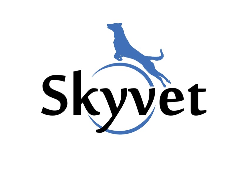 Skyvet