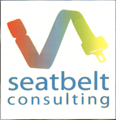seatbelt consulting