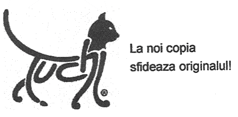 Ţuchi La noi copia sfideaza originalul!