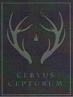 CERVUS CEPTURUM