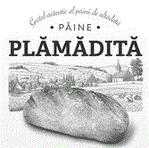 PAINE PLAMADITA