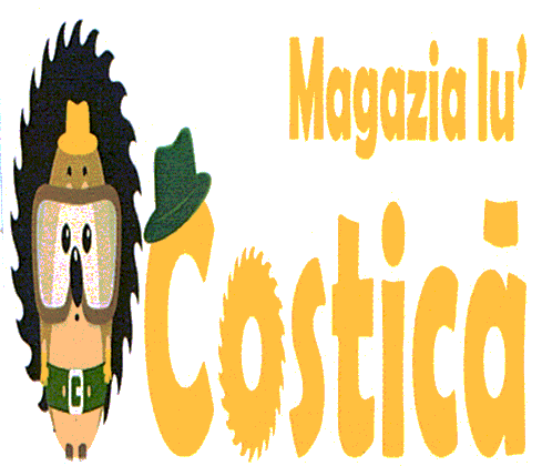 Magazia Iu' Costică