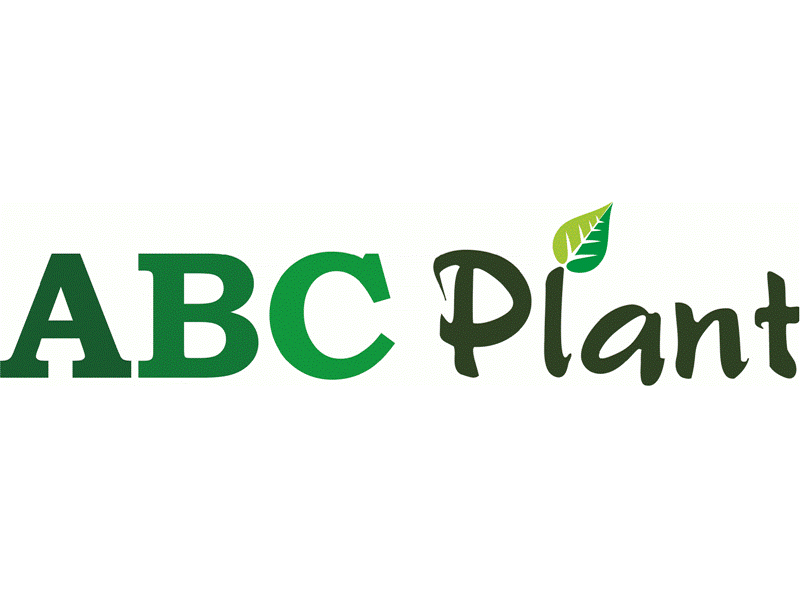 ABC Plant