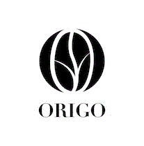 ORIGO