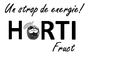 Un strop de energie! HORTI Fruct