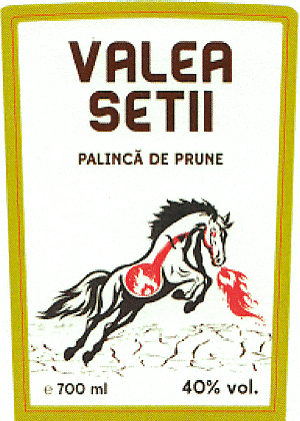 VALEA SETII