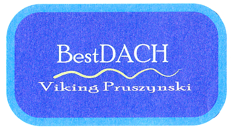 BestDACH Viking Pruszynski
