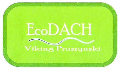 EcoDACH Viking Pruszynski