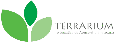 TERRARIUM o bucăţică de Apuseni la tine acasă
