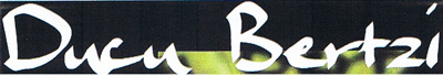 Ducu Bertzi