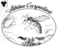 Albina Carpatină