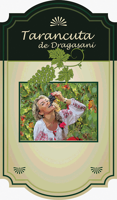 Tarancuta de Dragasani