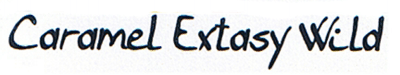 Caramel Extasy Wild