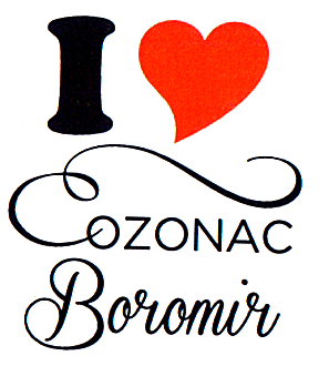 I LOVE COZONAC BOROMIR