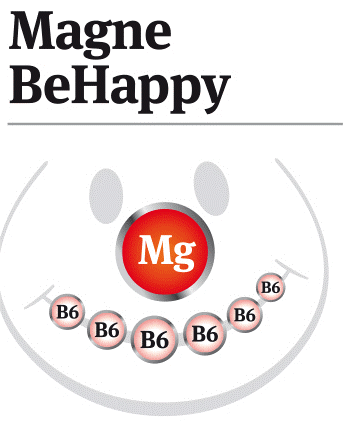 MagneBeHappy Mg B6