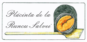 Plăcinta de la Runcu Salvei