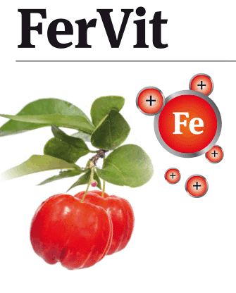 FerVit Fe