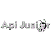 ApiJunior