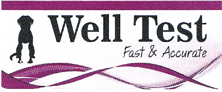 WELL TEST Fast & Accurate
