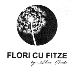 FLORI CU FITZE by Alina Credo
