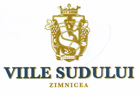 VS VIILE SUDULUI ZIMNICEA