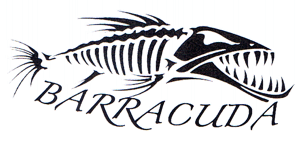 BARRACUDA