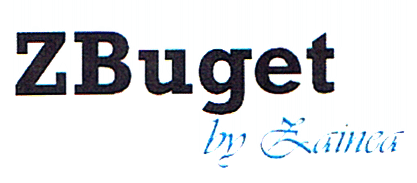 ZBuget by Zainea