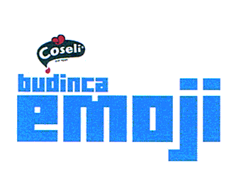 COSELI DIN 1990- BUDINCA EMOJI