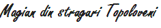 Magiun din struguri TOPOLOVENI