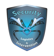 Security Logistics & Intervention