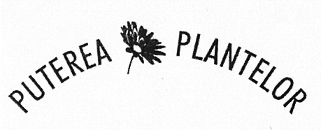 PUTEREA PLANTELOR