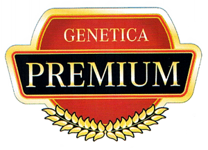 GENETICA PREMIUM