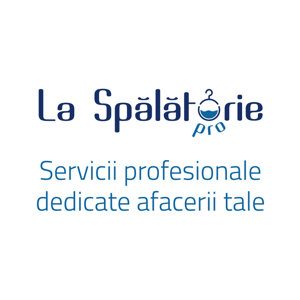La Spălătorie pro Servicii profesionale dedicate afacerii tale