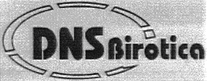 DNS Birotica