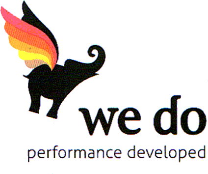 WE DO - performance developed
