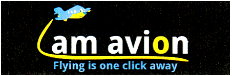 am avion Flying is one click away