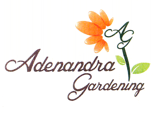 AG Adenandra Gardening