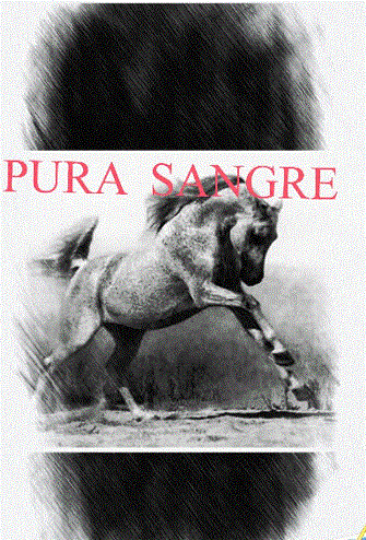 PURA SANGRE