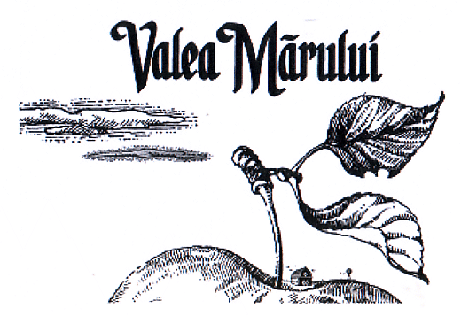 VALEA MĂRULUI