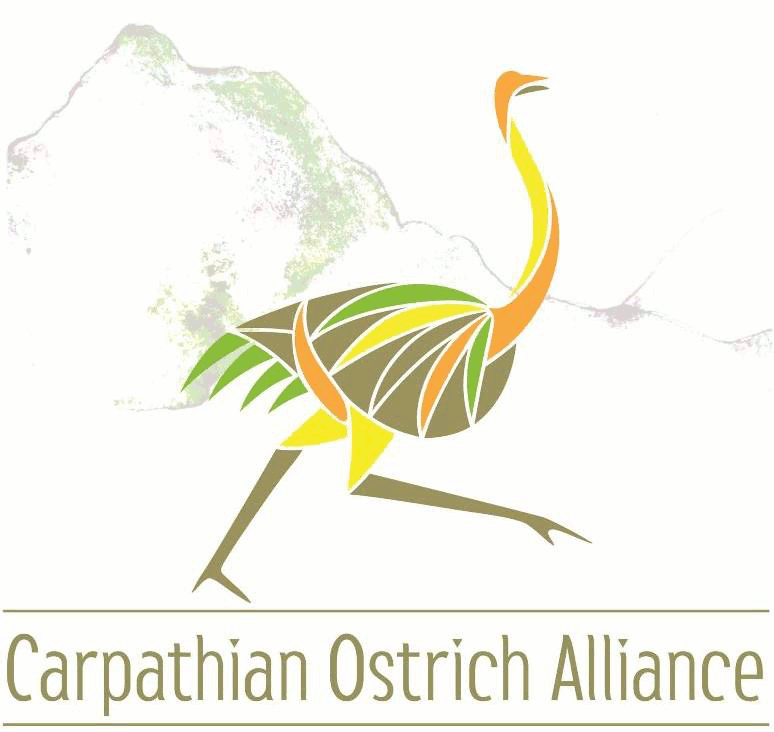 Carpathian Ostrich Alliance