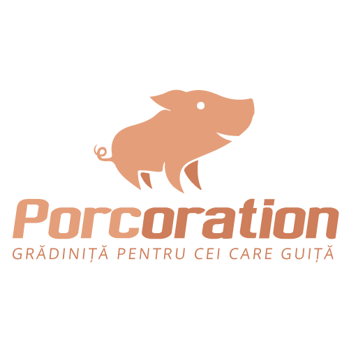 Porcoration GRĂDINIŢĂ PENTRU CEI CARE GUIŢĂ