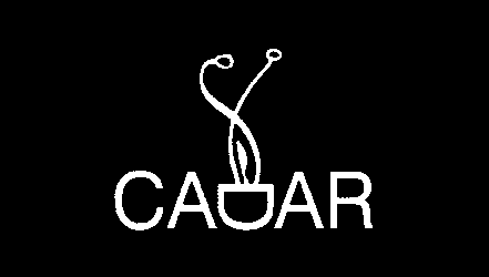 CADAR